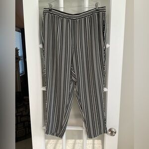 Chico’s lightweight pant 3 EUC